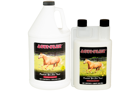 acti-flex-liguid-quart-gallon