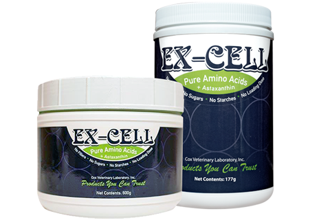 ex-cell