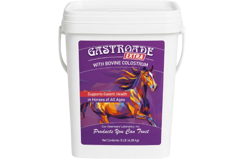 gastroade-extra-sized