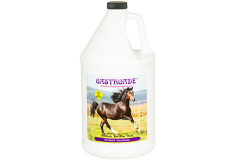 gastroade-gallon