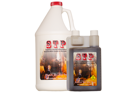 stp-quart-gallon